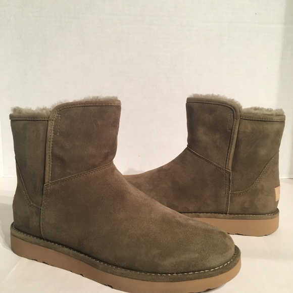 spruce uggs